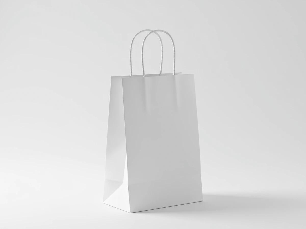 Paper Gift Bags (8 bags) - blank